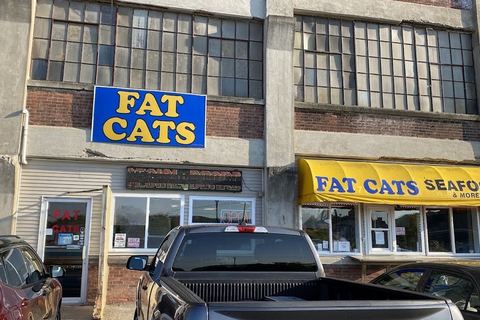Fat Cats